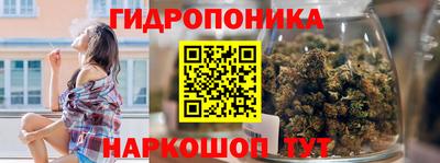 крисы Дубна