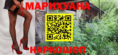 крисы Дубна