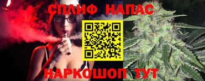 крисы Дубна