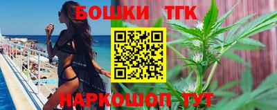 крисы Дубна