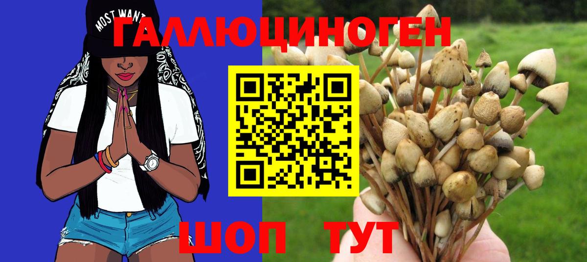 Галлюциногенные грибы GOLDEN TEACHER  Псилоцибиновые грибы Psilocybe  Вход с VPN  Нефтекумск 